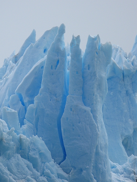 Patagonie 216.jpg